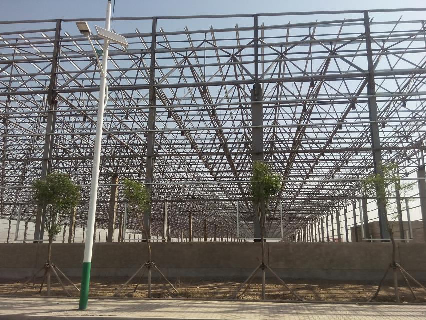 海伦汽车工业厂房网架